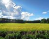 North Karelia Pride