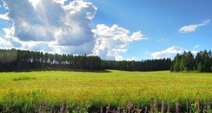 Joensuu Pride / North Karelia Pride