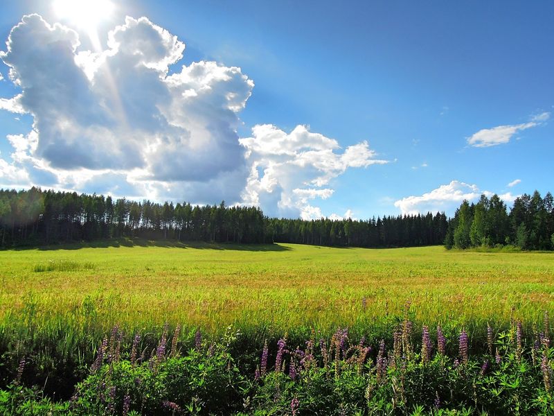 Joensuu Pride / North Karelia Pride
