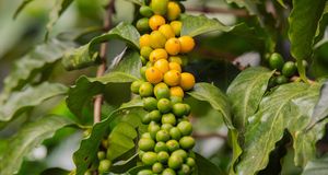 Guatemala City Pride