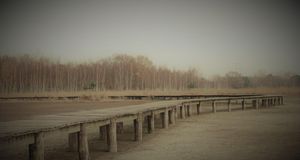 Tilburg Pride / Roze Maandag Tilburg