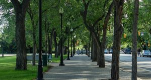 Saskatoon Pride / Saskatoon Pride Festival