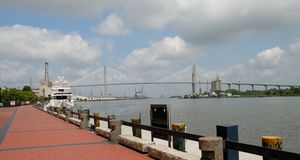 Savannah