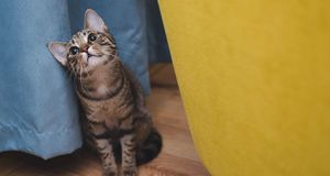 Bury Pride / CSD Bury