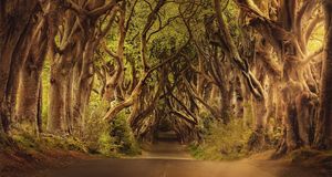 Castlebar Pride / Castlebar Mayo Pride