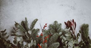 Weihnachten in Berlin