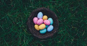 Eiersuche an Ostern