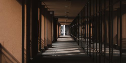 The BOX